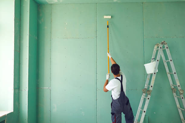 Professional Mold Removal in Cascade, ID