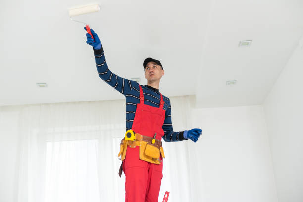 Best Emergency Mold Remediation  in Cascade, ID