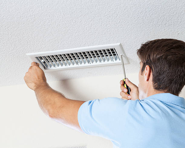 Best Attic Mold Removal  in Cascade, ID