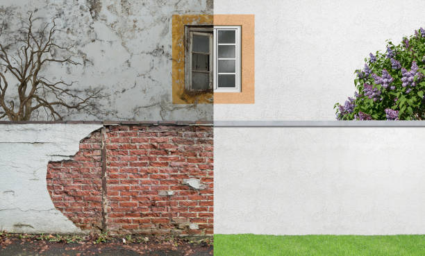 Best Mold Documentation for Insurance Claims  in Cascade, ID