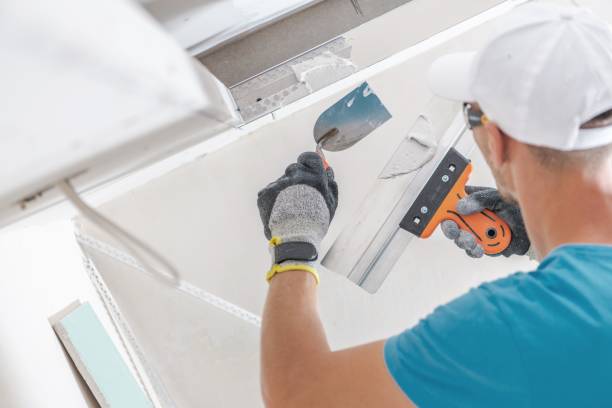 Best Dehumidification Services  in Cascade, ID